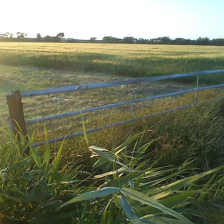 Haus Am Deich Utersum