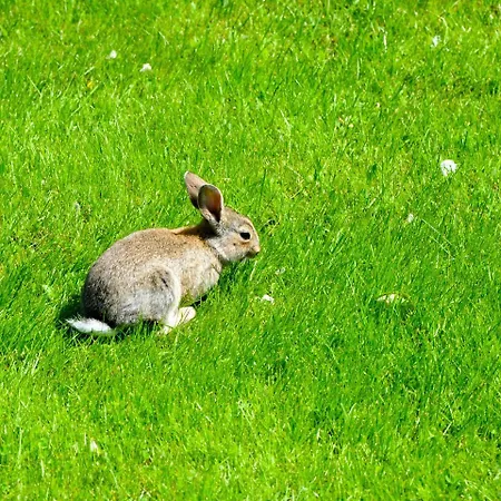 Haus Am Deich アパート Utersum